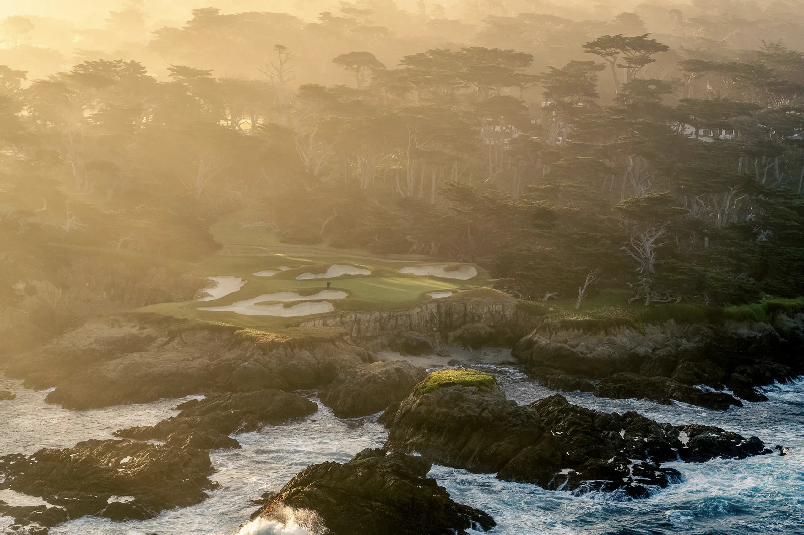 Cypress